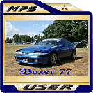 boxer77.jpg final